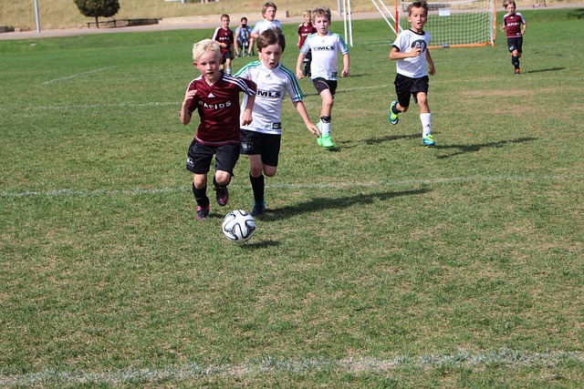 宁波男篮在 宁波男篮在