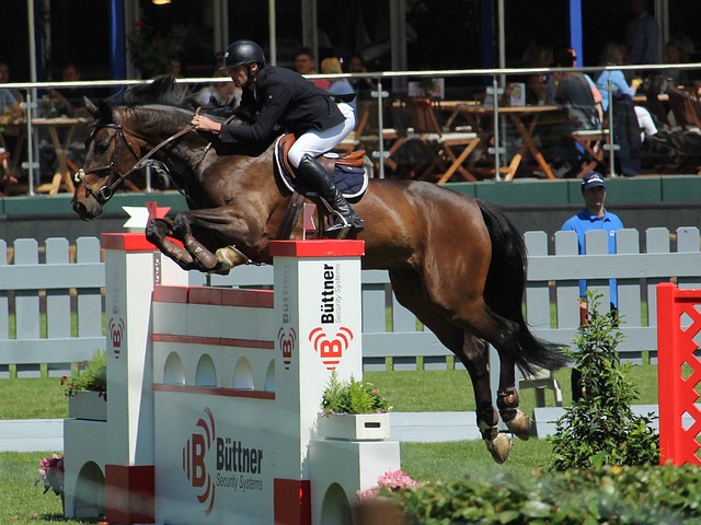 湖人队的整 湖人队的整