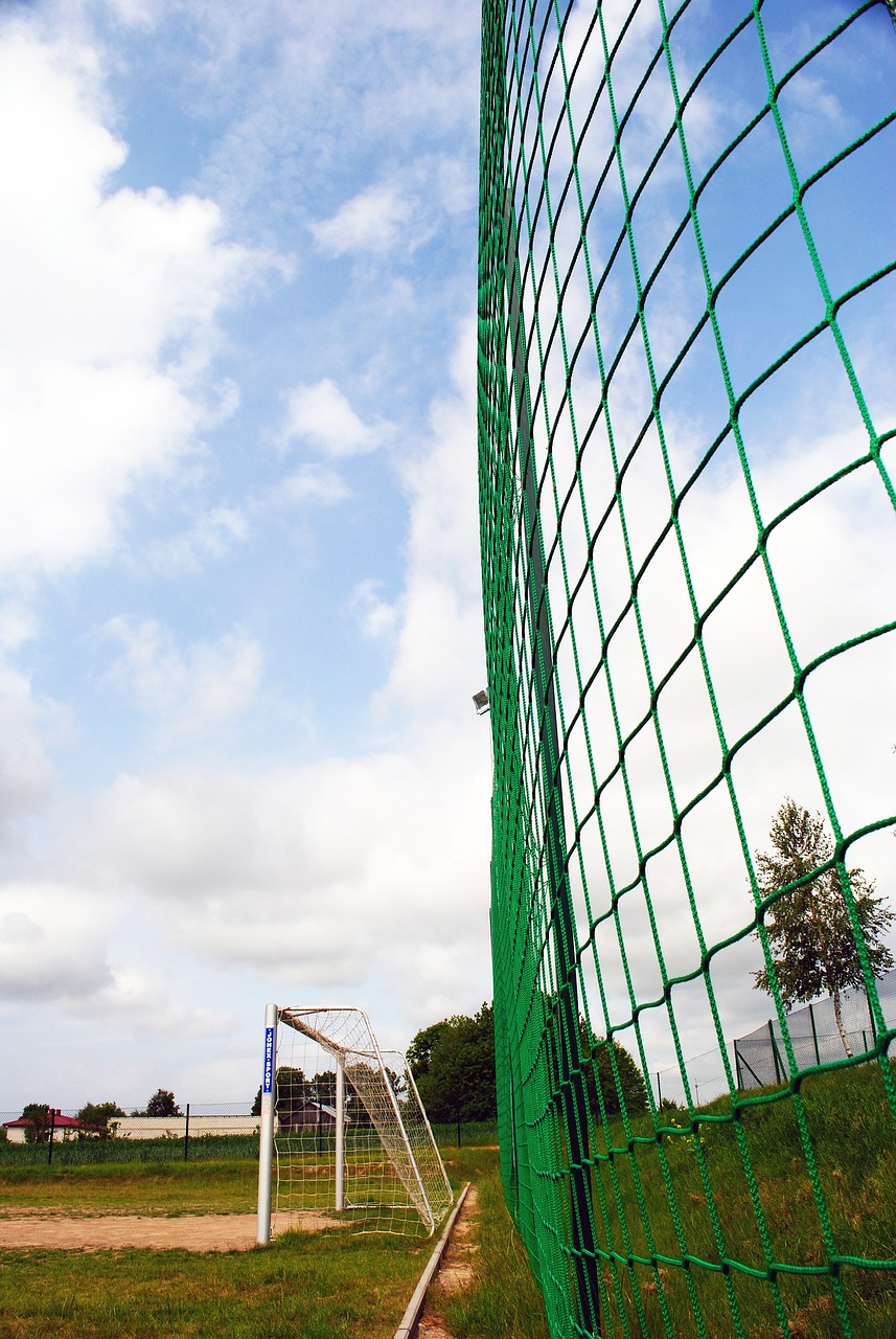 關係穩固的 關係穩固的