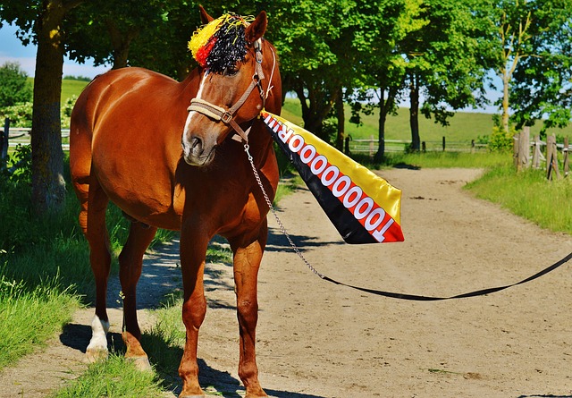 也需要管理 也需要管理