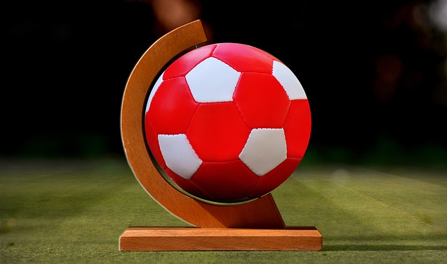 的运动员能 的运动员能